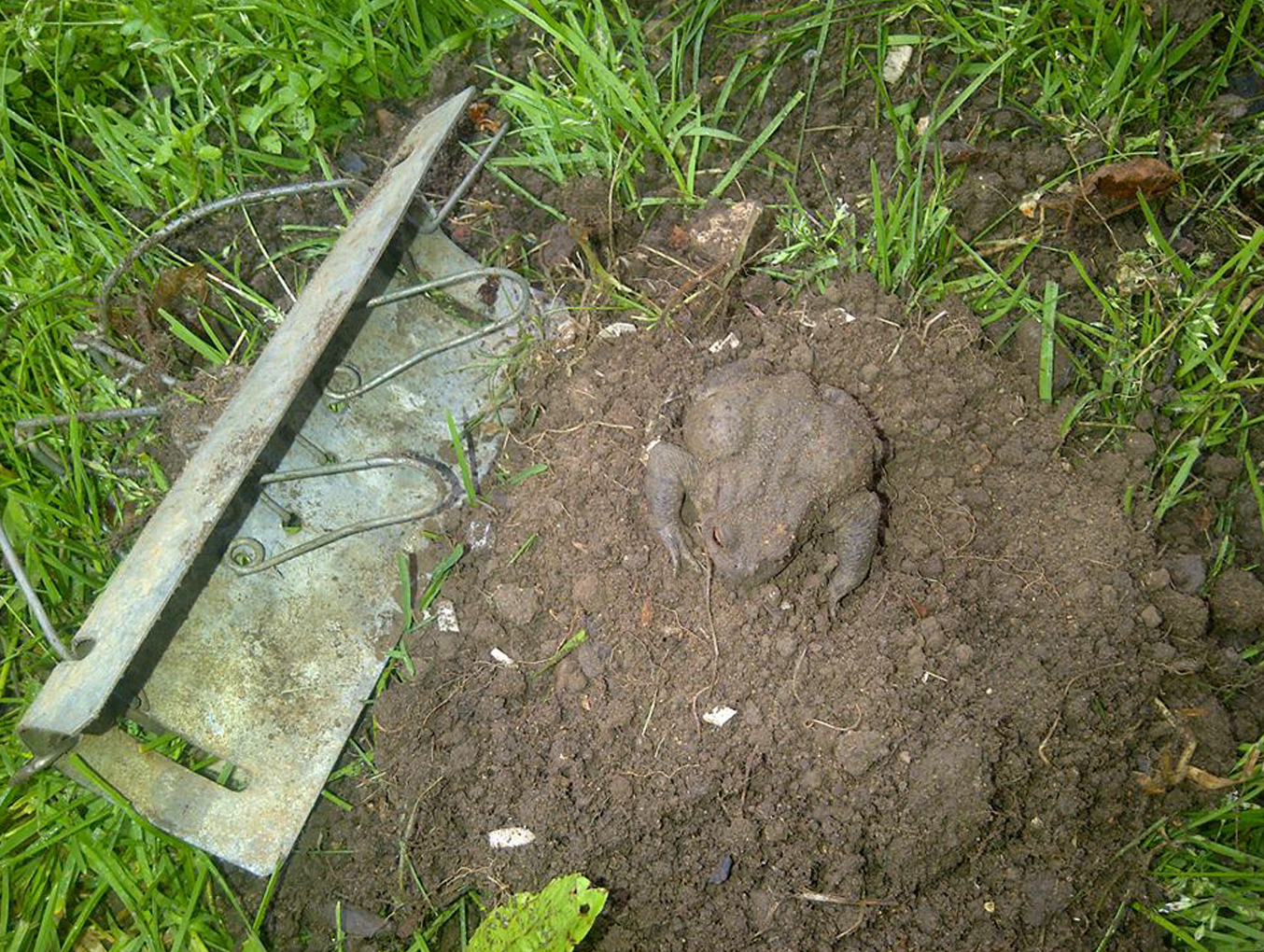 Unusual Finds, Pest Control, Northamptonshire